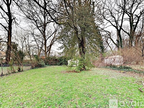 A grassy area with trees and a shed in the background.
