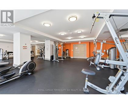 A gym with a variety of equipment including a treadmill, weights, and a bench press.