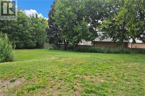 A grassy field with trees and a fence in the background.