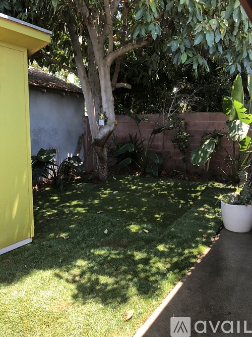 A backyard with a yellow building and a tree.