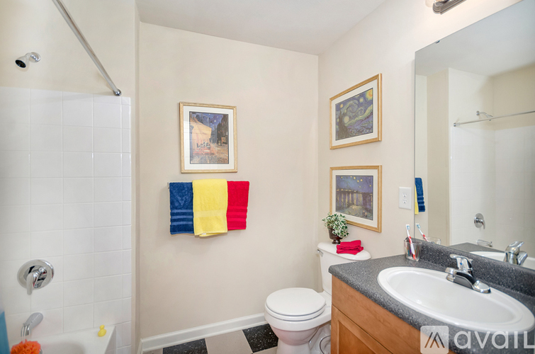 765 Denali Way 1 Apartment for Rent - Photo gallery 4