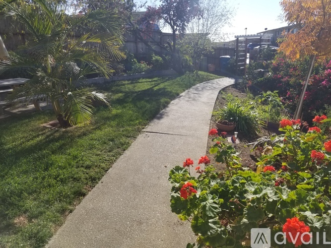 A concrete walkway leads through a garden with red flowers.