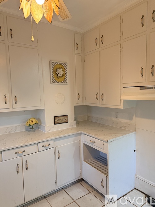 318 W Franklin St 4 Beds Single Family Home for Rent - Photo gallery 1