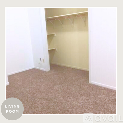 A living room with a carpeted floor and a closet with clothes hangers.