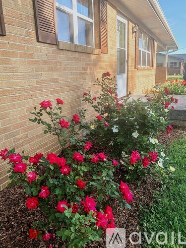 2125 Cherry Street Southeast 3 Beds Single Family Home for Rent - Photo gallery 2