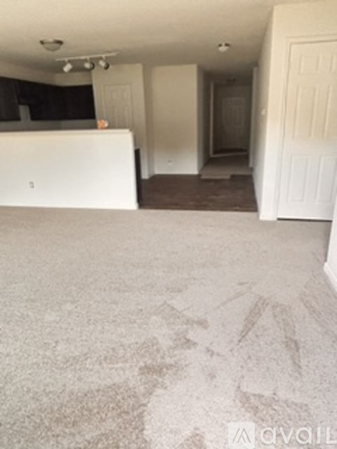 A room with a white door and a carpet.