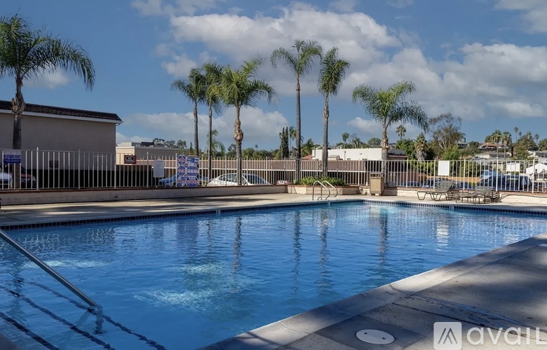 A pool surrounded by palm trees and a fence.