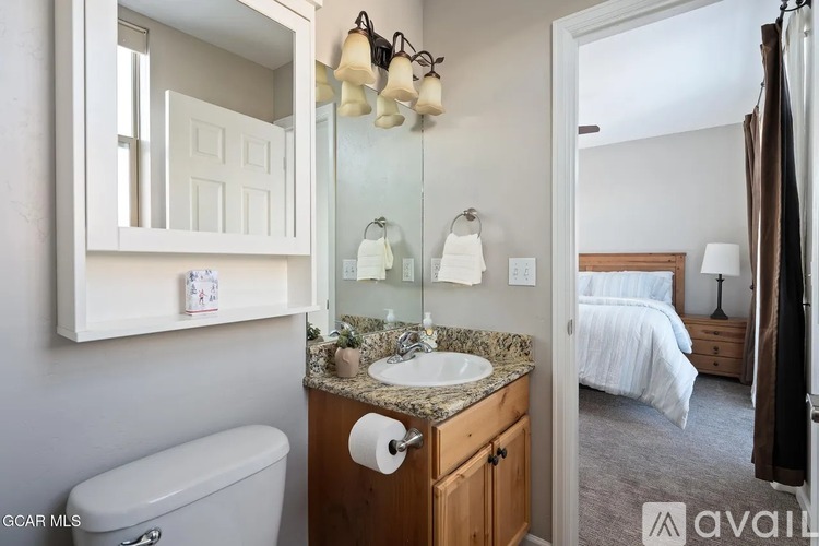 A bathroom with a toilet, sink, mirror, and a bedroom in the background.