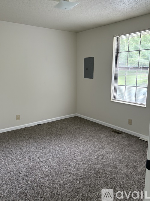 A room with a grey carpet and a window with blinds.