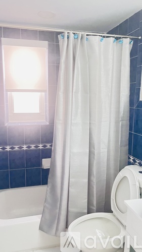 A white shower curtain hangs in a bathroom with a white toilet.