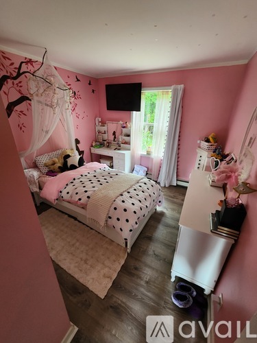 A child's bedroom with a canopy bed, a desk, and a TV on the wall.