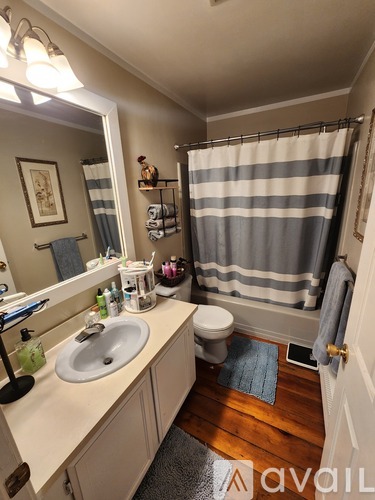 A bathroom with a sink, toilet, and shower curtain.