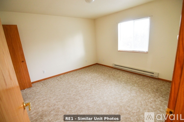 A room with a window and a carpeted floor.