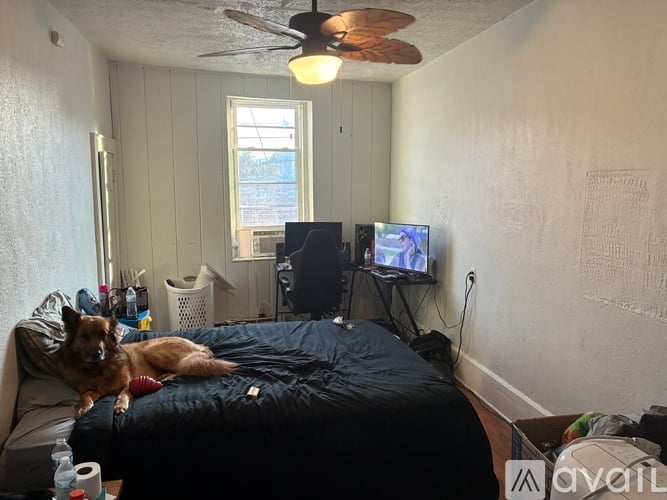 203 Randolph Ave 1 Apartment for Rent - Photo gallery 3