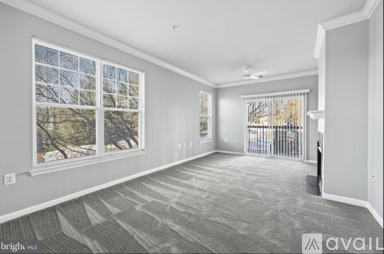 A room with a grey carpet and a large window with a view of trees.