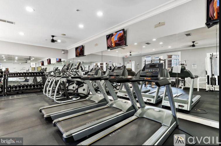 A gym with treadmills and elliptical machines.
