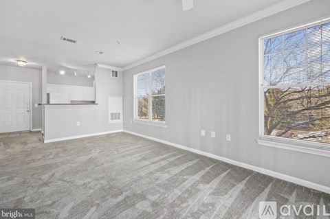 A spacious living room with a grey carpet and a large window.