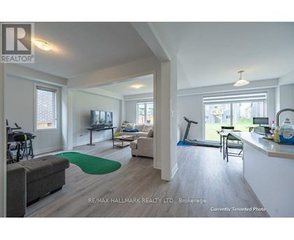 A living room with a grey couch and a green rug.