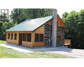 A wooden cabin with a green roof is surrounded by trees.