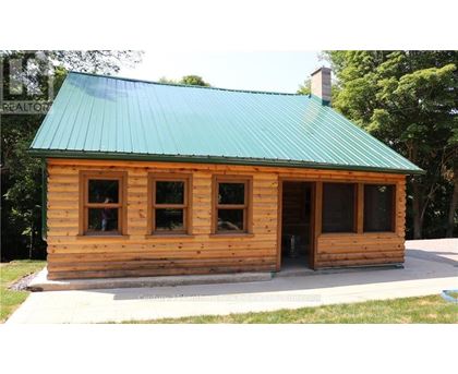A small wooden cabin with a green roof is surrounded by trees.