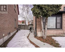 A snow-covered sidewalk leads to a brick building with a tree in front.