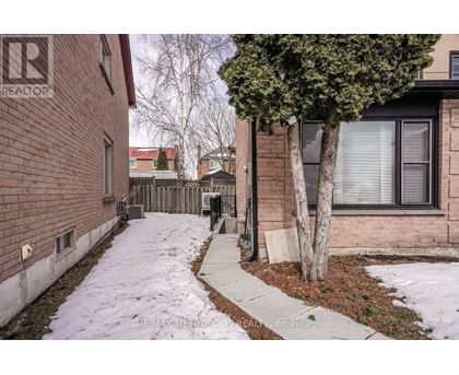 A snow-covered sidewalk leads to a brick building with a tree in front.