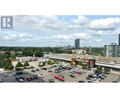 A parking lot with a Canadian Tire store in the background.