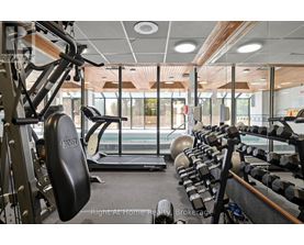 A gym with a variety of equipment including a weight bench, a treadmill, and a rowing machine.