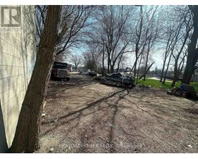 A dirt area with a tree and a truck in the background.