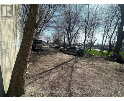 A dirt area with a tree and a truck in the background.
