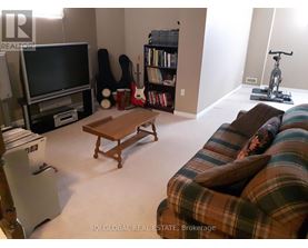 A living room with a couch, television, and exercise bike.