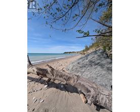 A fallen tree trunk is in the sand on a beach.