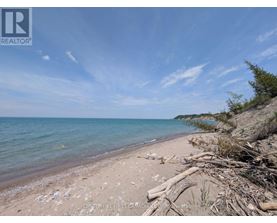 A beach with a clear sky and some driftwood on the shore.