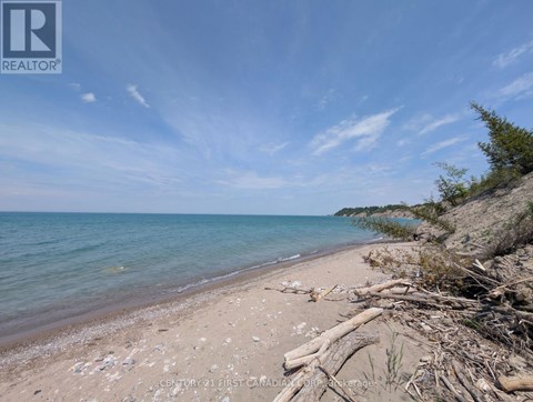 A beach with a clear sky and some driftwood on the shore.