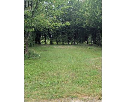 A grassy field with trees in the background.