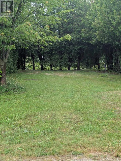 68 - 79681 BLUEWATER HIGHWAY Studio Apartment for Rent