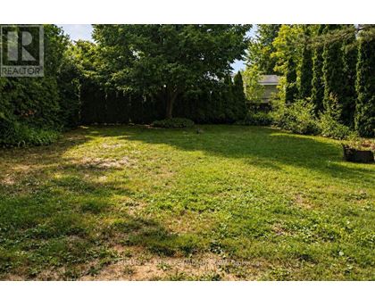 A backyard with a well-maintained lawn and trees.