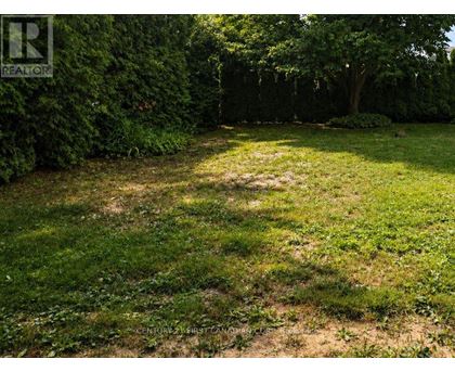 A grassy area with a tree and bushes in the background.