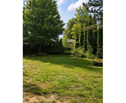 A lush green garden with a variety of trees and plants.