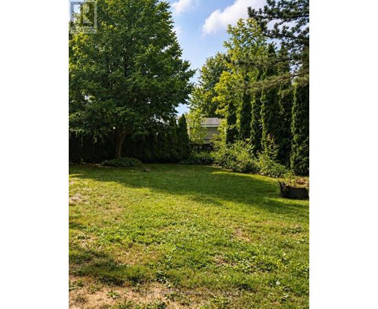 34 - 79681 BLUEWATER HIGHWAY Studio House for Rent - Photo gallery 1