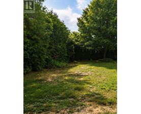 A lush green garden with a dirt path in the middle.