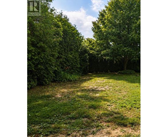 54 - 79681 BLUEWATER HIGHWAY Studio House for Rent - Photo gallery 1