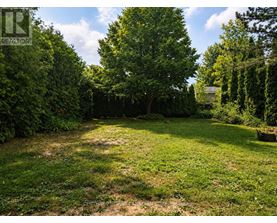 A backyard with a large tree and a fence.