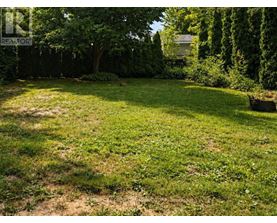 A sunny day in a yard with a tree and a bench.