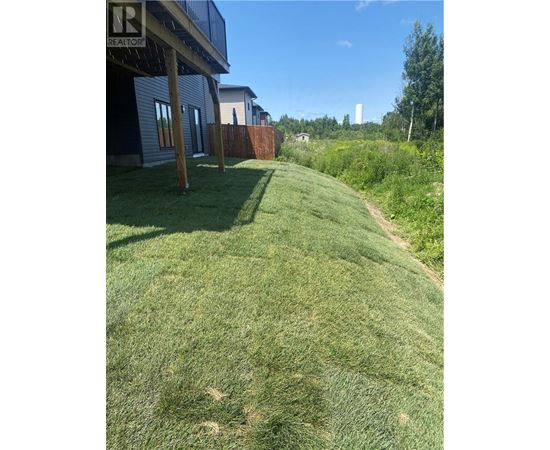 A grassy area with a house and a fence in the background.