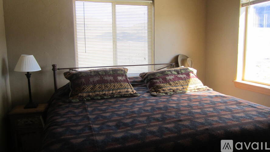 A bed with a patterned cover and two decorative pillows sits in a room with a window and a lamp.