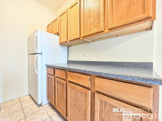 1164 N Dearborn St 1 Condo for Rent - Photo gallery 4