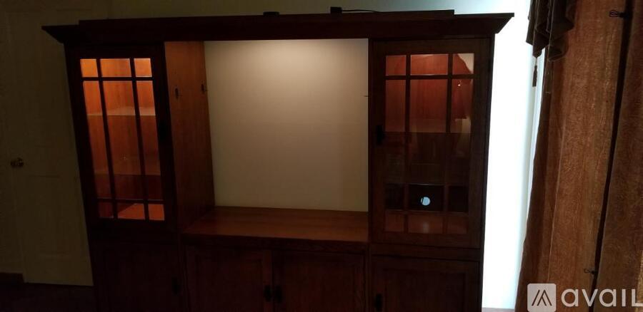A wooden cabinet with glass doors and a light on.