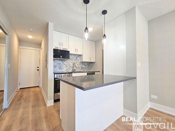555 W Stratford Pl Studio Condo for Rent - Photo gallery 3