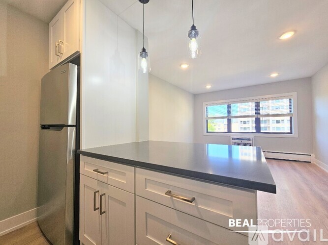 555 W Stratford Pl Studio Condo for Rent - Photo gallery 4
